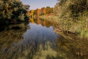 Phoca Thumb M Herbst Im Rheinwald 8481 2017